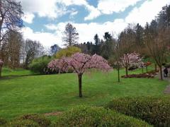 149 PARC ORIENTAL DE MAULEVIER MAINE ET LOIRE 2016 N0_000050